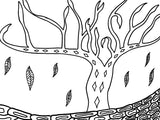 Indigenous Art Collection