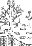 Indigenous Art Collection