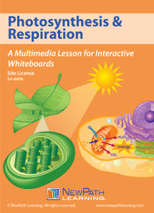 Photosynthesis & Respiration Multimedia Lesson (CD-ROM) W54-6206-W54-6406