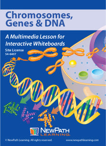 Chromosomes, Genes & DNA Multimedia Lesson (CD-ROM) W54-6207-W54-6407