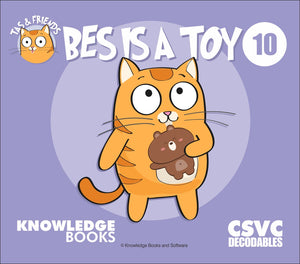 Bes is a Toy 9781761270109