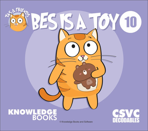 Bes is a Toy 9781761270109
