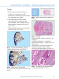 Infectious Diseases Volume 2: Parasitic (eBook)