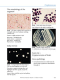 Infectious Diseases Volume 1: Non-parasitic (eBook)